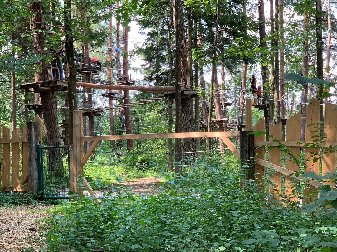 Kletterpark Waldbad Anif-安妮夫必去景点
