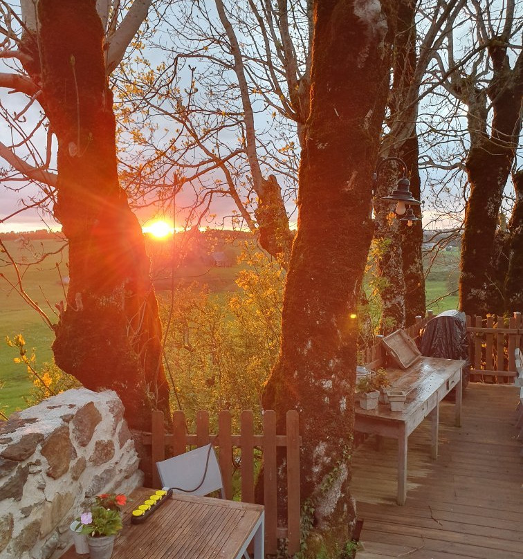 B&B La Trouverie主图