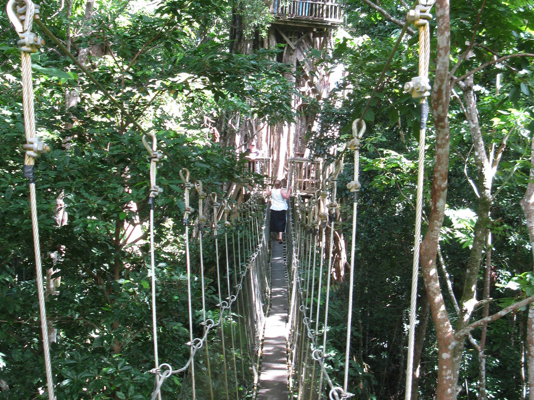 Falealupo Canopy Walk景点图片