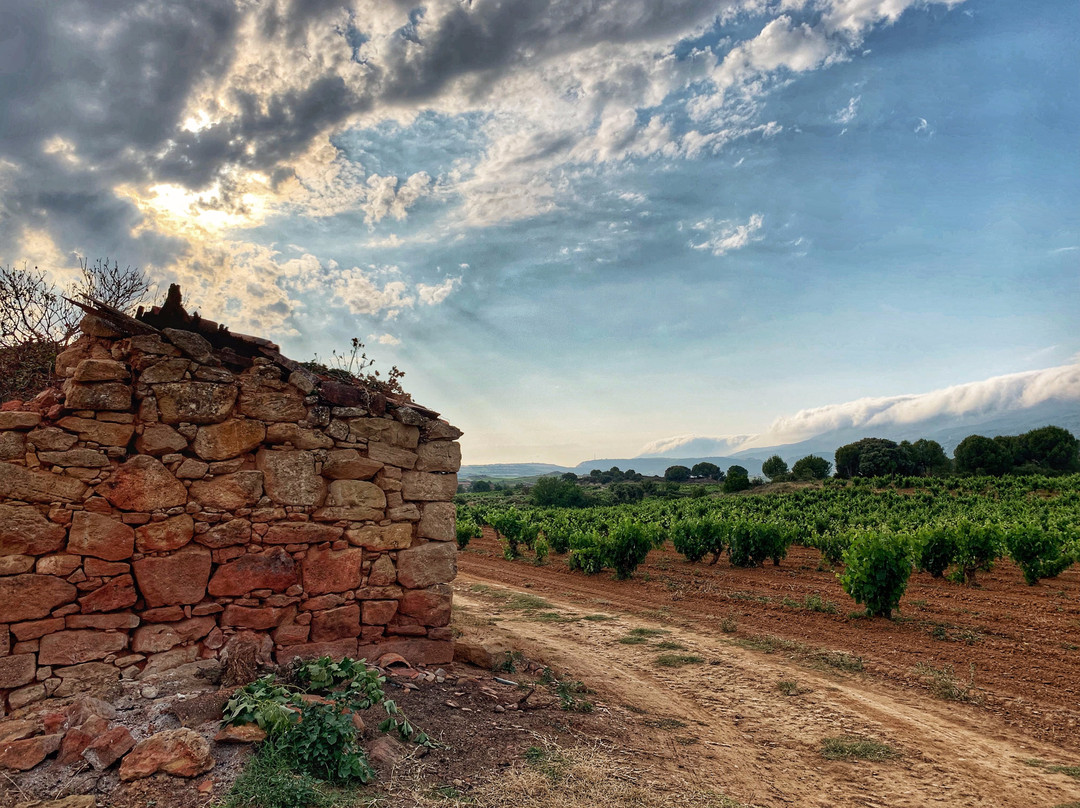Villabuena Wine Tour景点图片