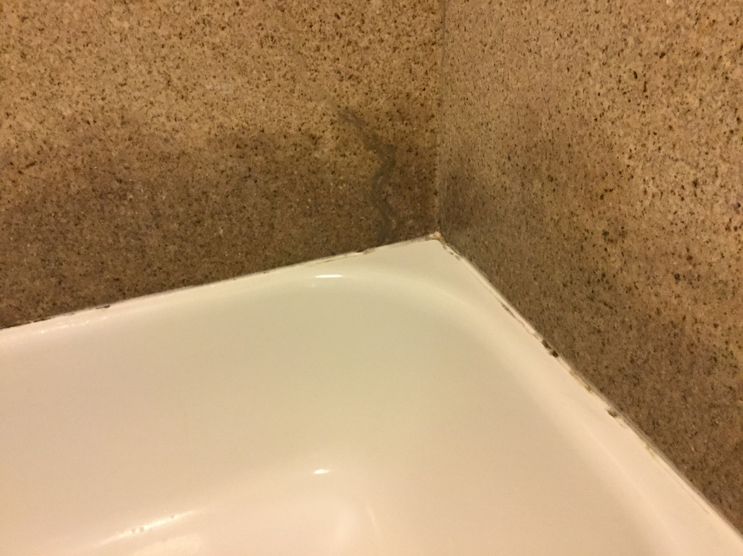 SpringHill Suites by Marriott Shreveport-Bossier City/Louisiana Downs主图