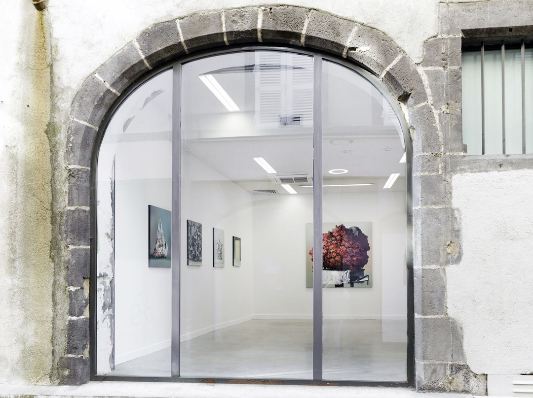 Fonds Régional d'Art Contemporain Auvergne (FRAC)景点图片