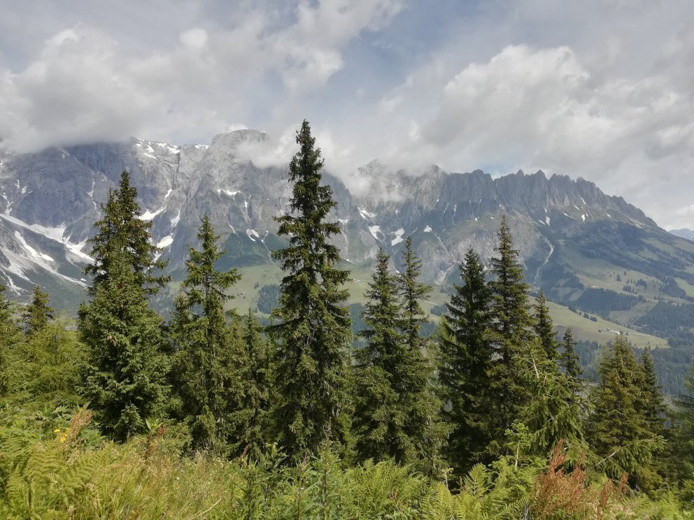 Karbachalm Kabinenbahn