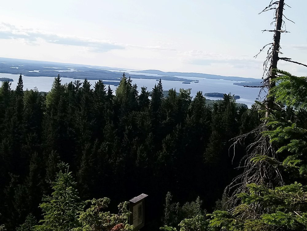 Räsävaara Observation tower-Koli National Park必去景点