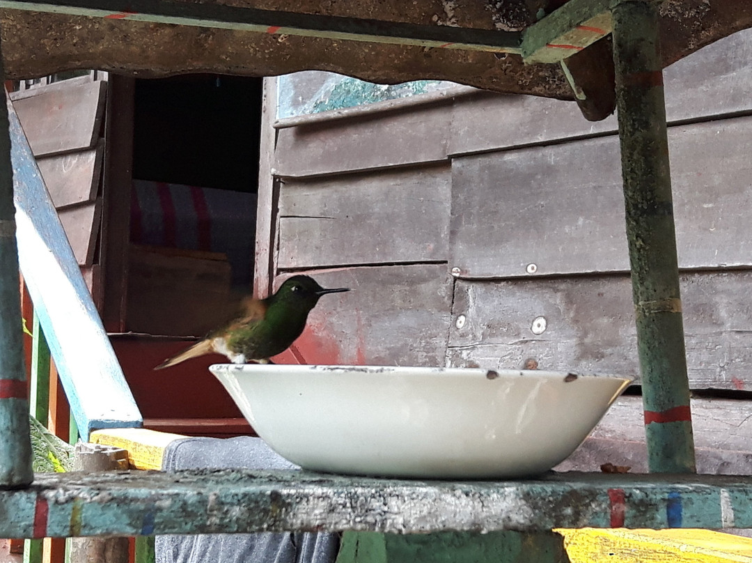 Reserva Natural Acaime-萨伦托必去景点