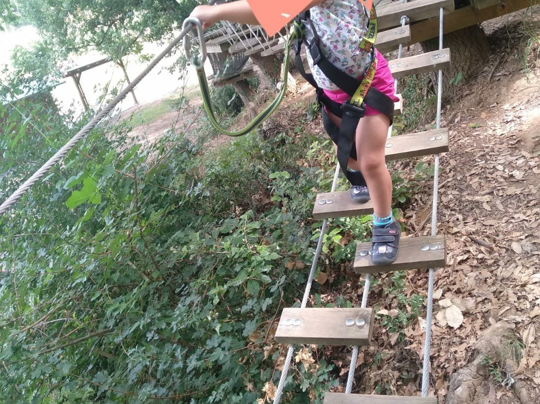 Parco Avventura Il Giardino Sospeso景点图片