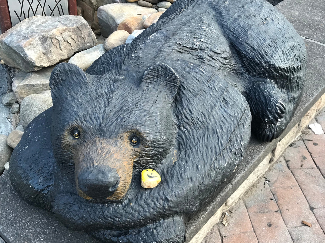 Reagan Terrace Mall-盖林柏格必去景点