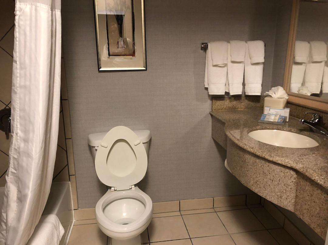 斯塔克维尔希尔顿花园旅馆主图