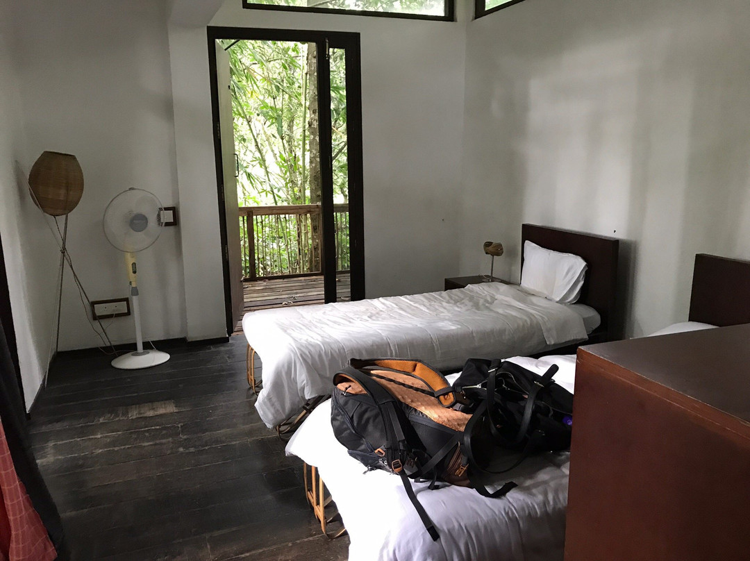 Uravu Bamboo Grove - A Wandertrails Showcase主图