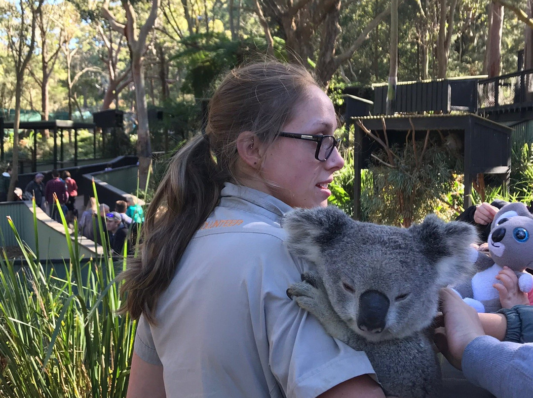 澳大利亚爬行动物园景点图片