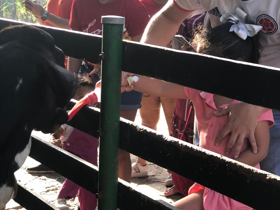 El Solar de Mao-Galapa必去景点