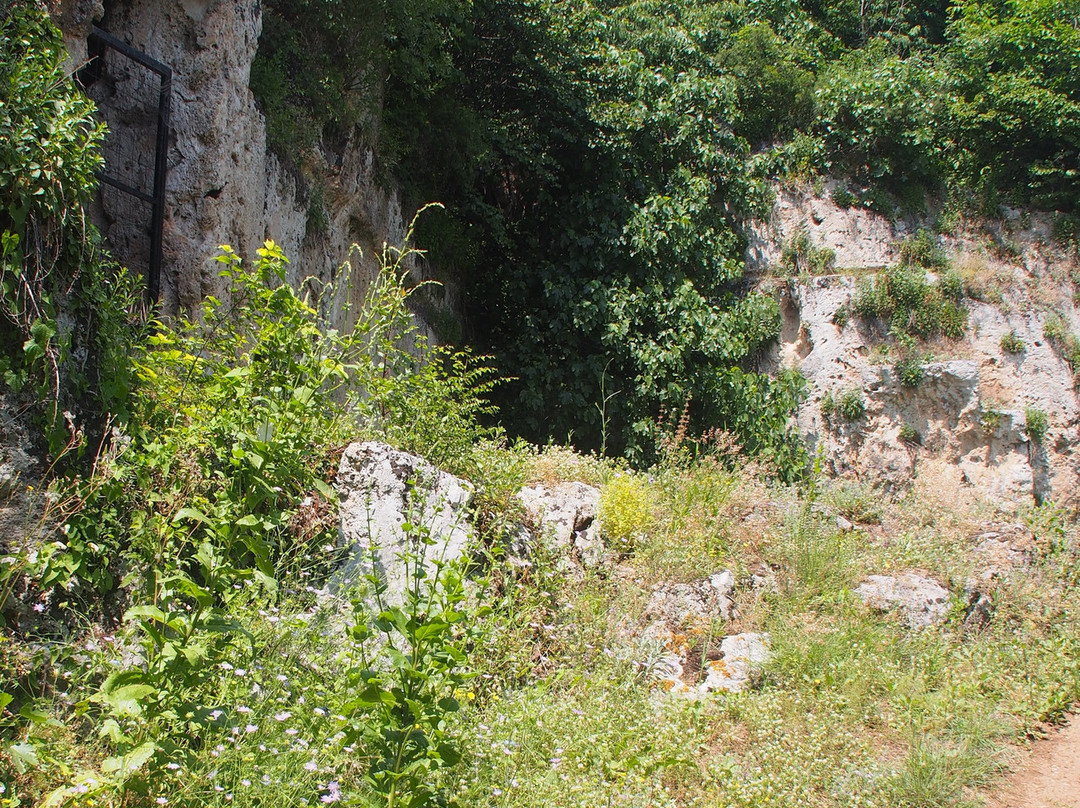 School of Aristotle-Naousa必去景点