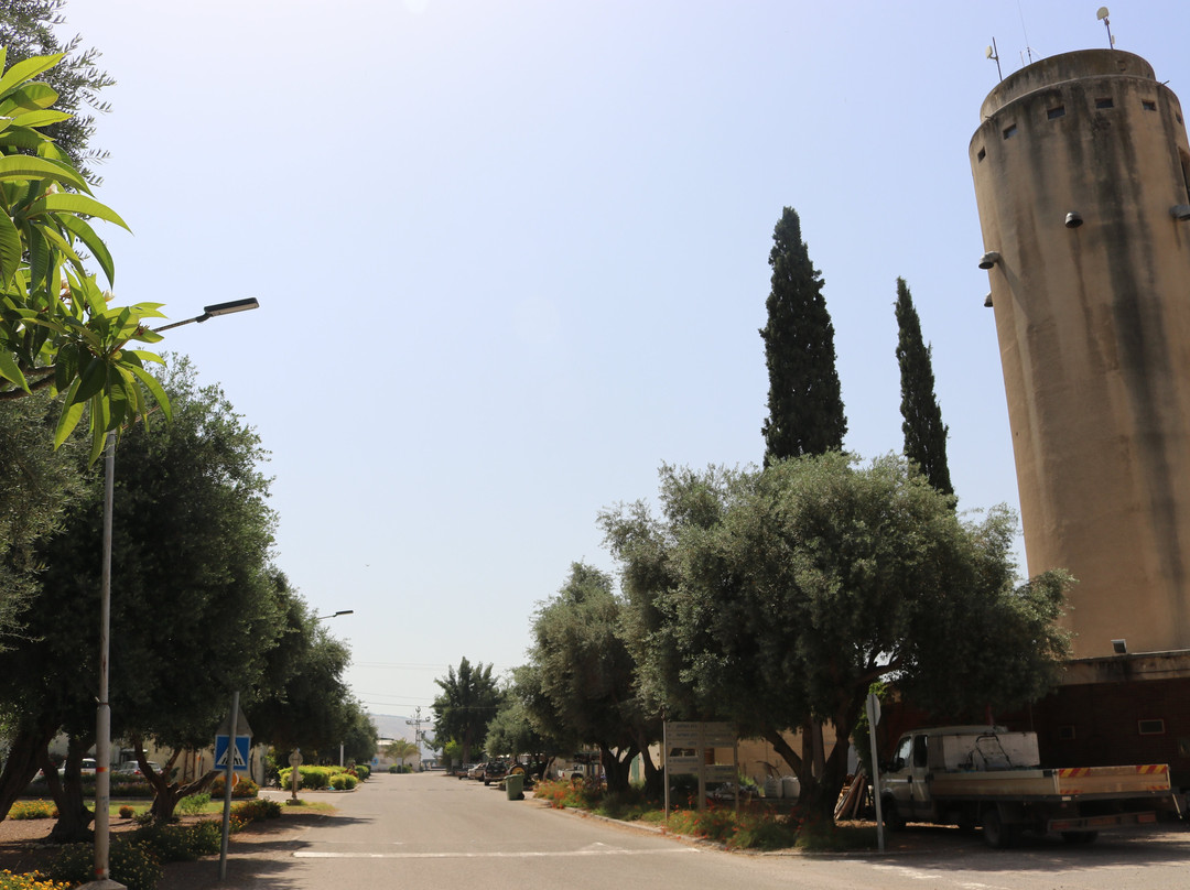 Kibbutz Degania Alef景点图片