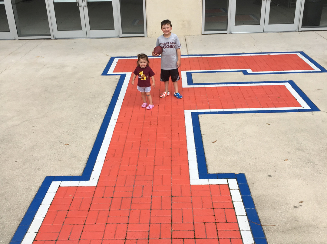 Ben Hill Griffin Stadium-盖恩斯维尔必去景点