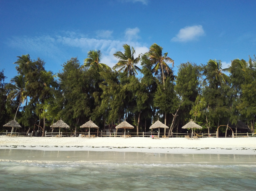 Zanzibar Dream Lodge