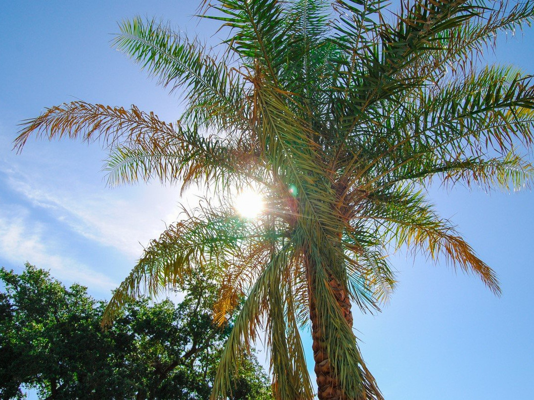 Centennial Plaza主图