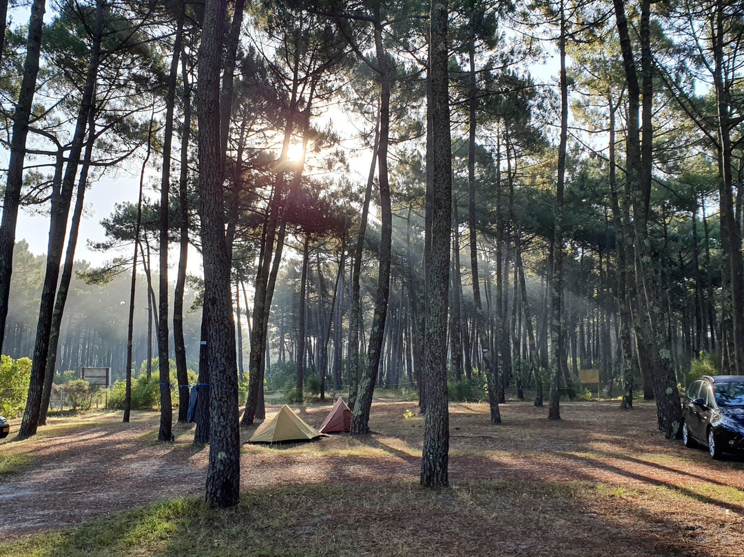 Camping Bremontier