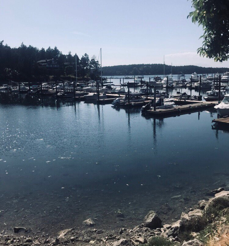 Friday Harbor Jolly Trolley-星期五港湾必去景点