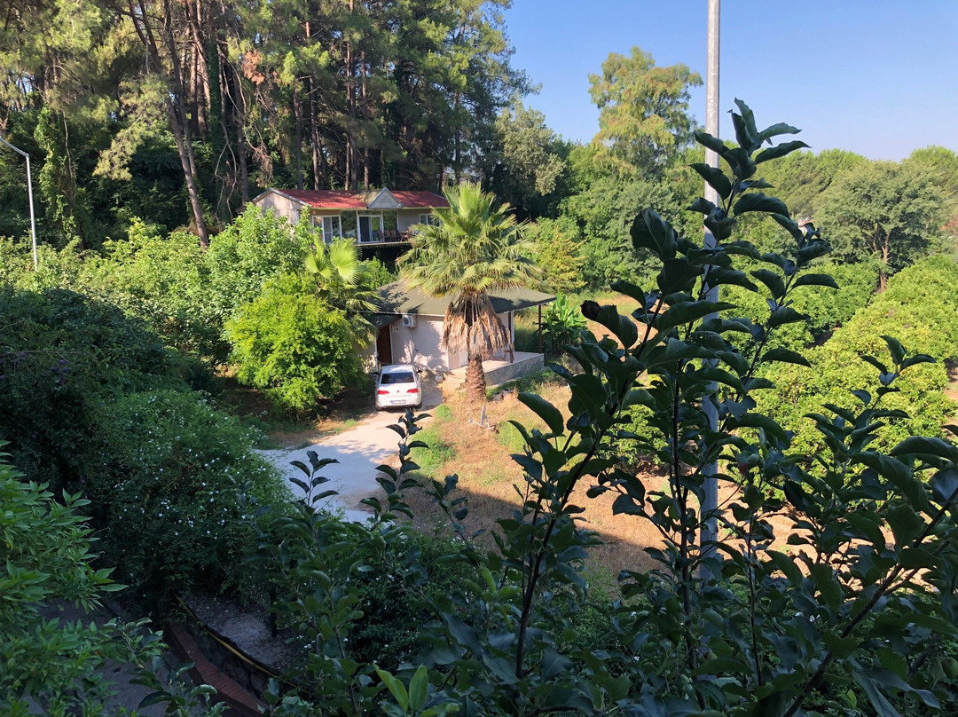 Padok Premium Hotel Stables主图