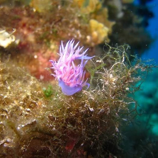 Hercules Marine Activities-Perivoli必去景点