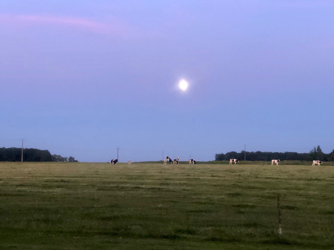 弗列伊之家酒店主图