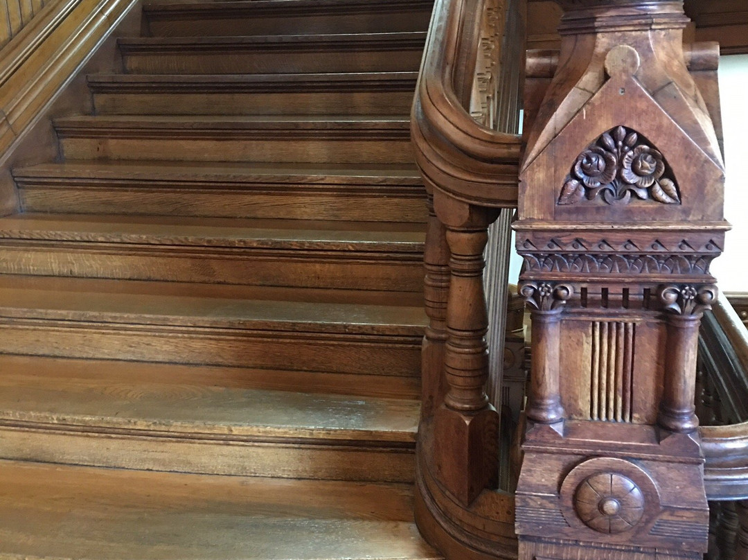 Willard Library-埃文斯维尔必去景点