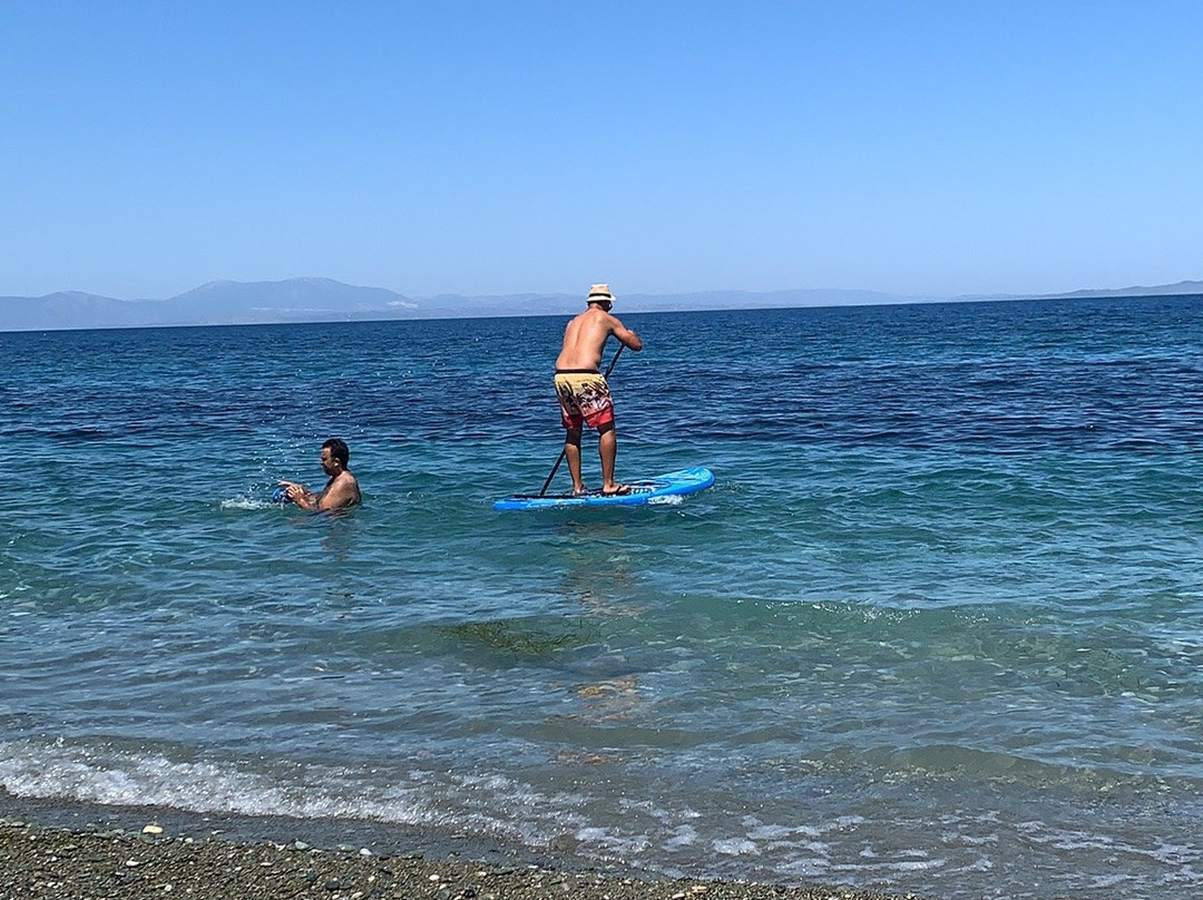 Beach Bar Kalo Livadi-Livadi必去景点