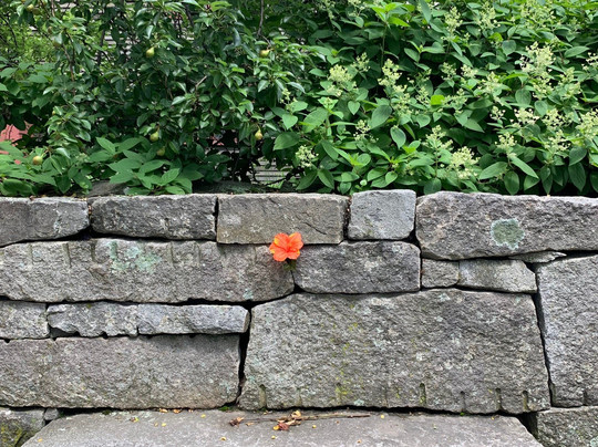 Myths & Misconceptions Walking Tour-塞勒姆必去景点