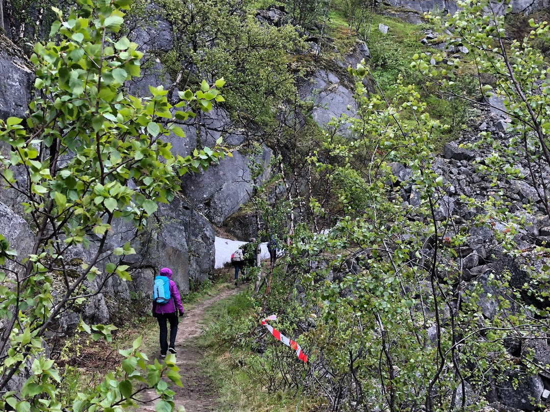 Visit Narvik Tourist Information景点图片