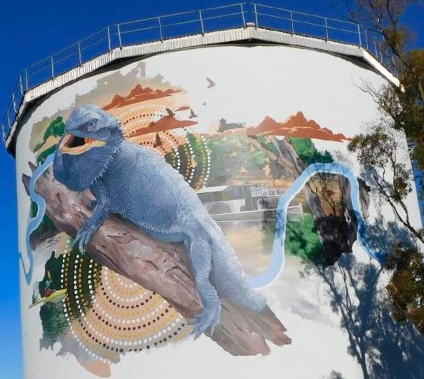 Narrandera Water Tower Art景点图片