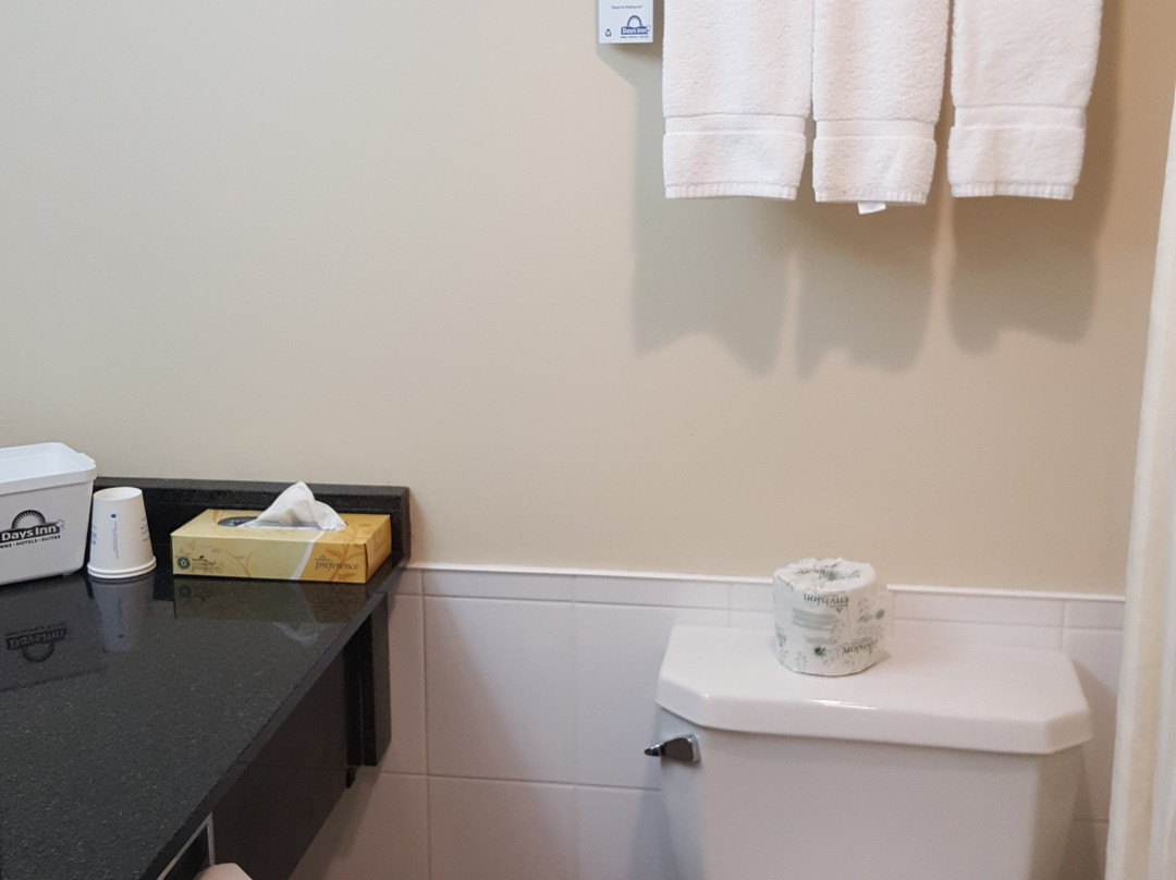 Days Inn & Suites by Wyndham Langley主图