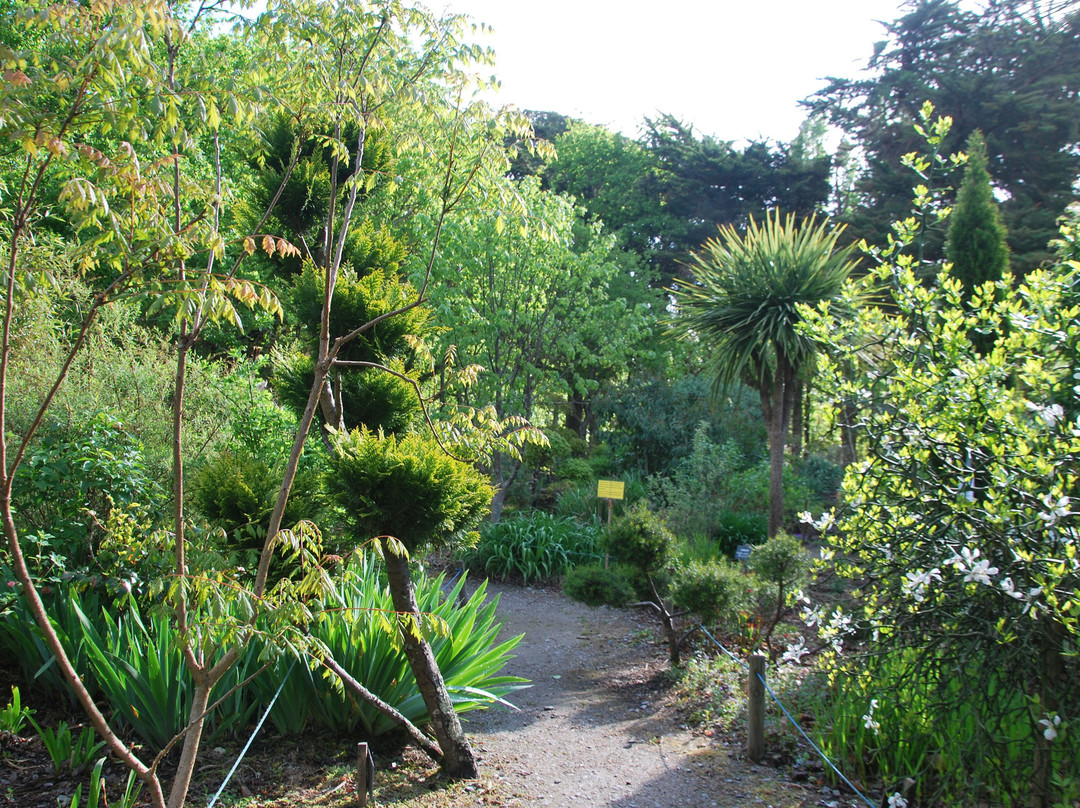 Tropicarium Bonsaï景点图片