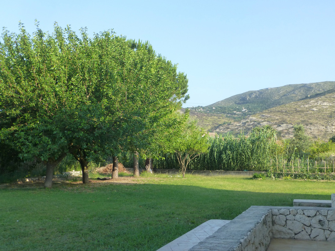 Aligis Studios主图