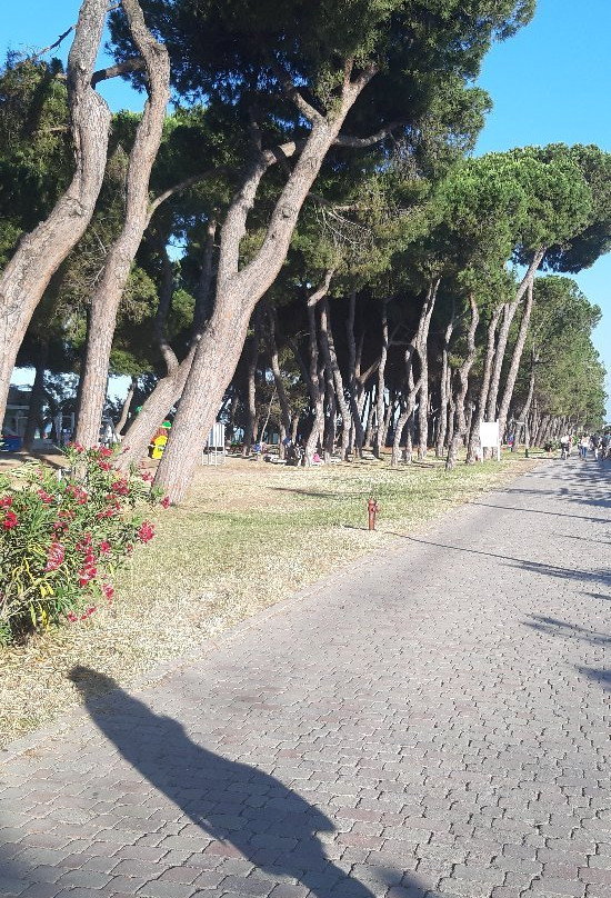 Pista Ciclabile-Pineto必去景点