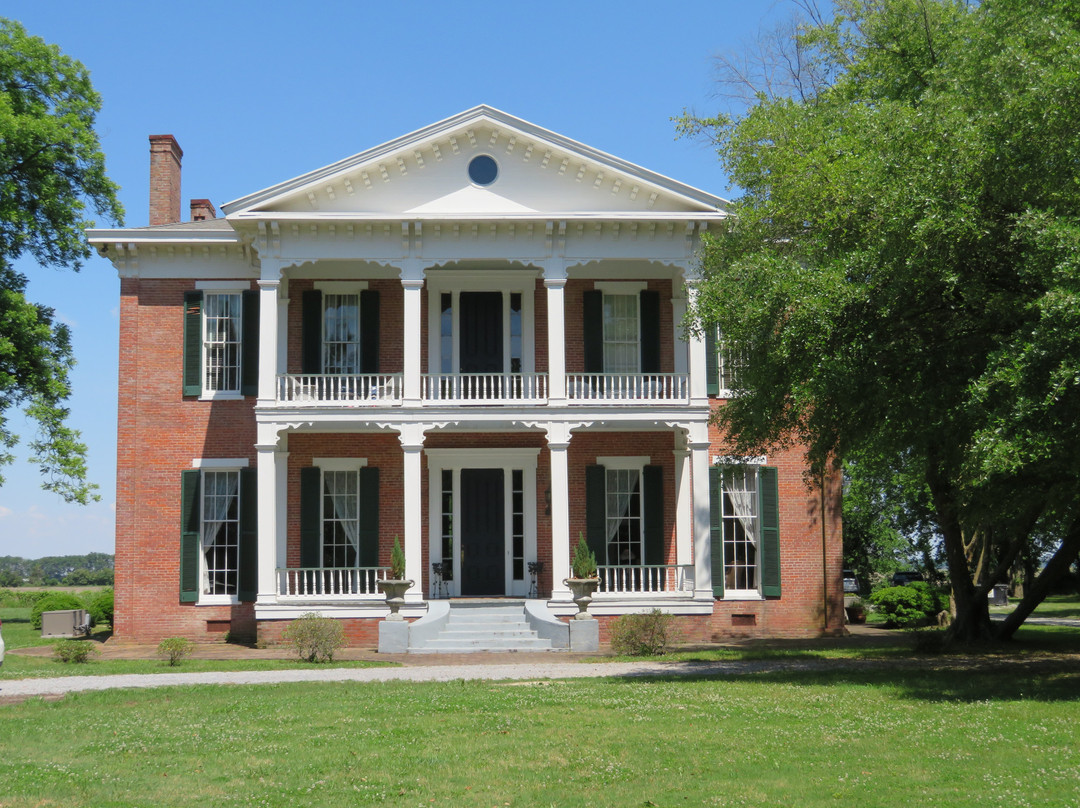 The Belmont 1857主图