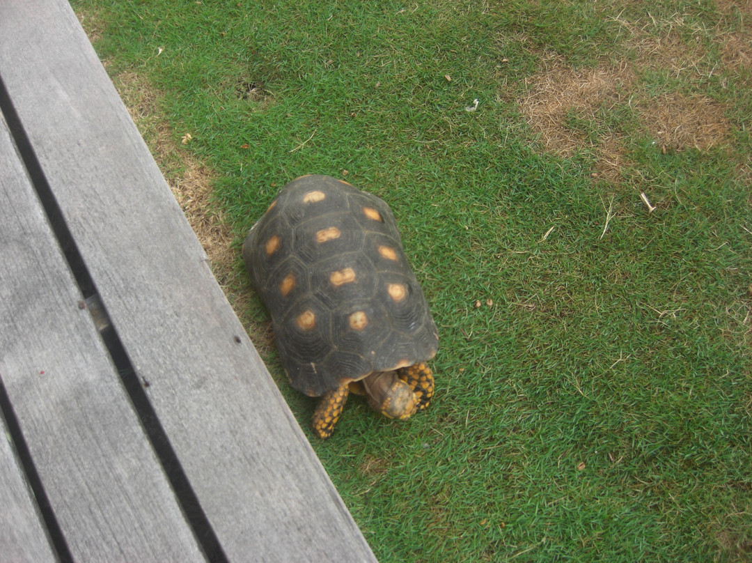 Les Ilets de la Plage主图