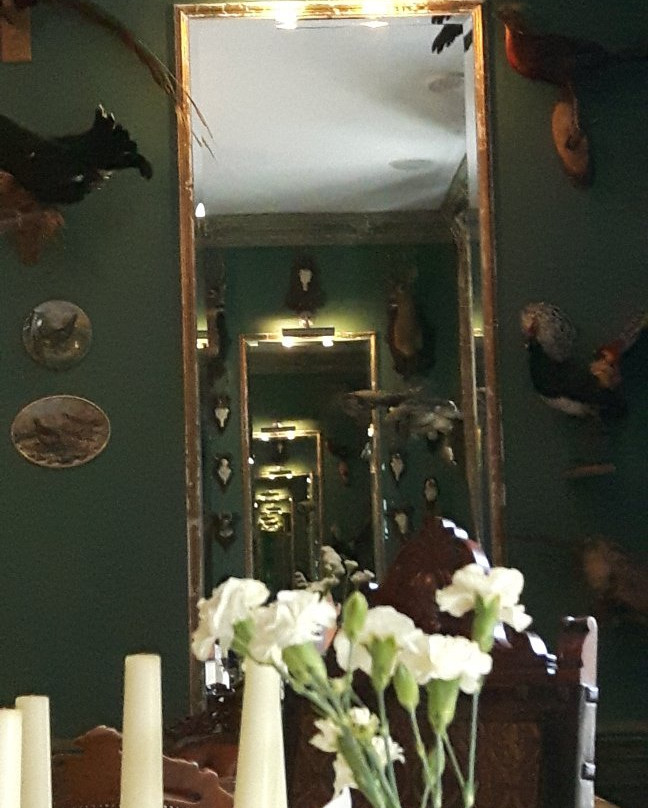 Manor House Lisewski Dwor主图