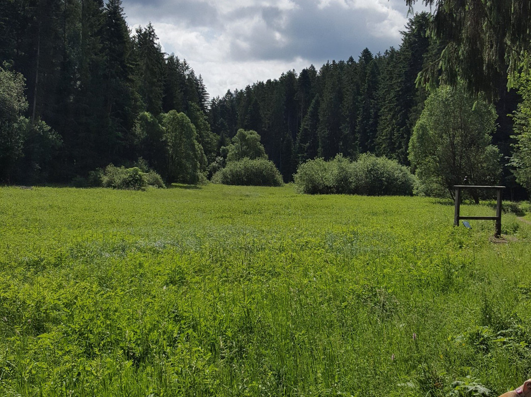 Waldachtaler Krabbenweg- Kunst trifft Natur景点图片