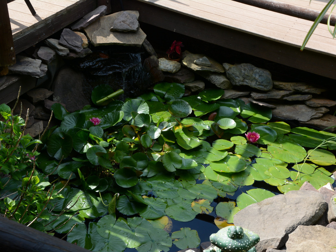 Harmony Hill Bed and Breakfast主图