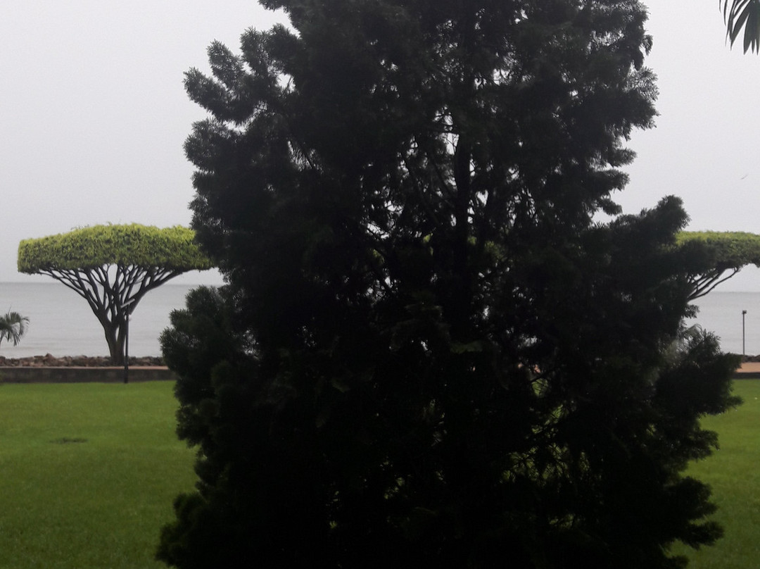 恩德培普罗蒂酒店主图