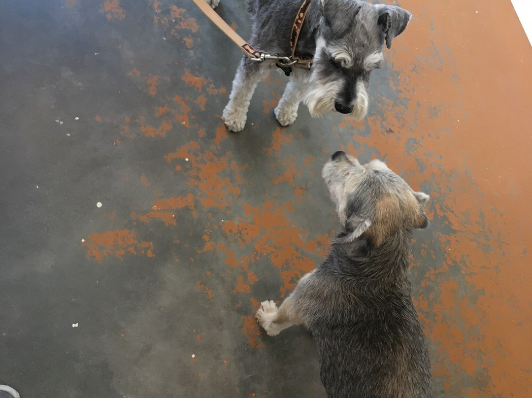 Howling Bluff Estate Winery-彭蒂克顿必去景点