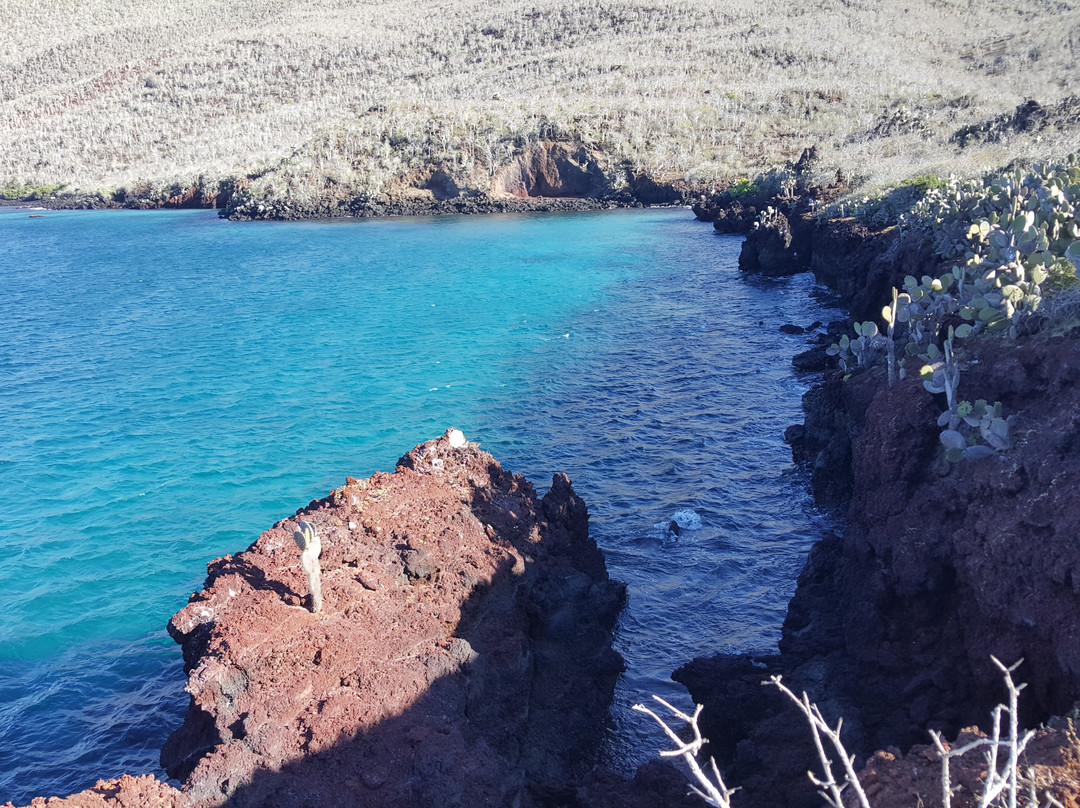 Galapagos Experience景点图片