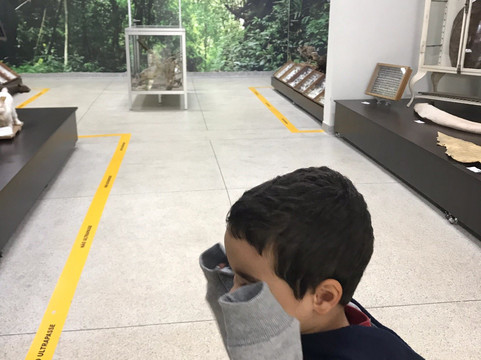 Museu de Historia Natural de Itapira-Itapira必去景点