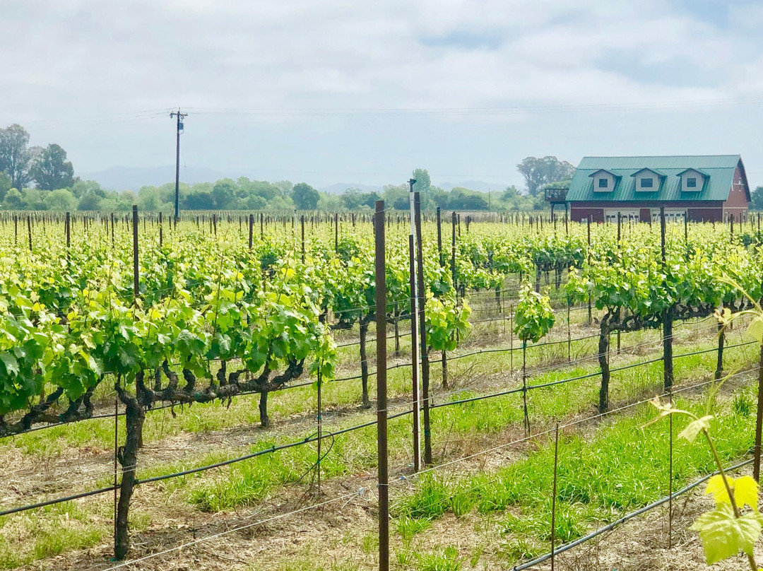 Diamond Express Limo-Brentwood必去景点