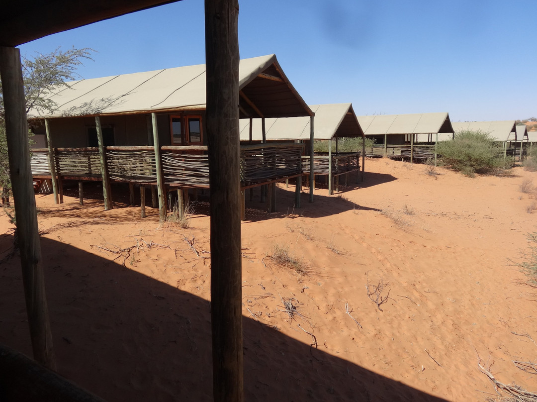 Suricate Kalahari Tented Lodge主图