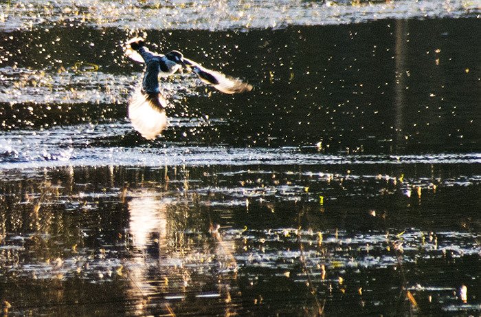 Springfontein River Lodge-浴室