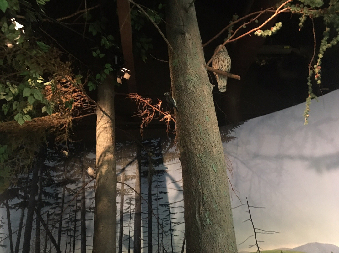 Turner Falls-Turners Falls必去景点