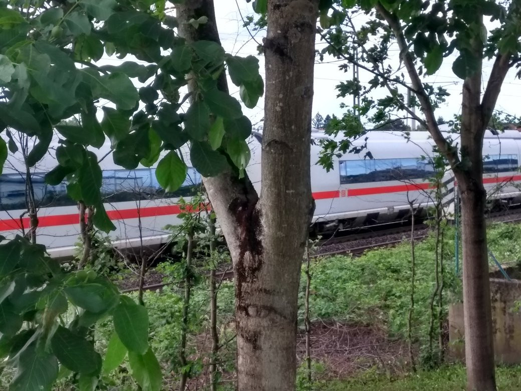 Amedia Frankfurt Ruesselsheim主图