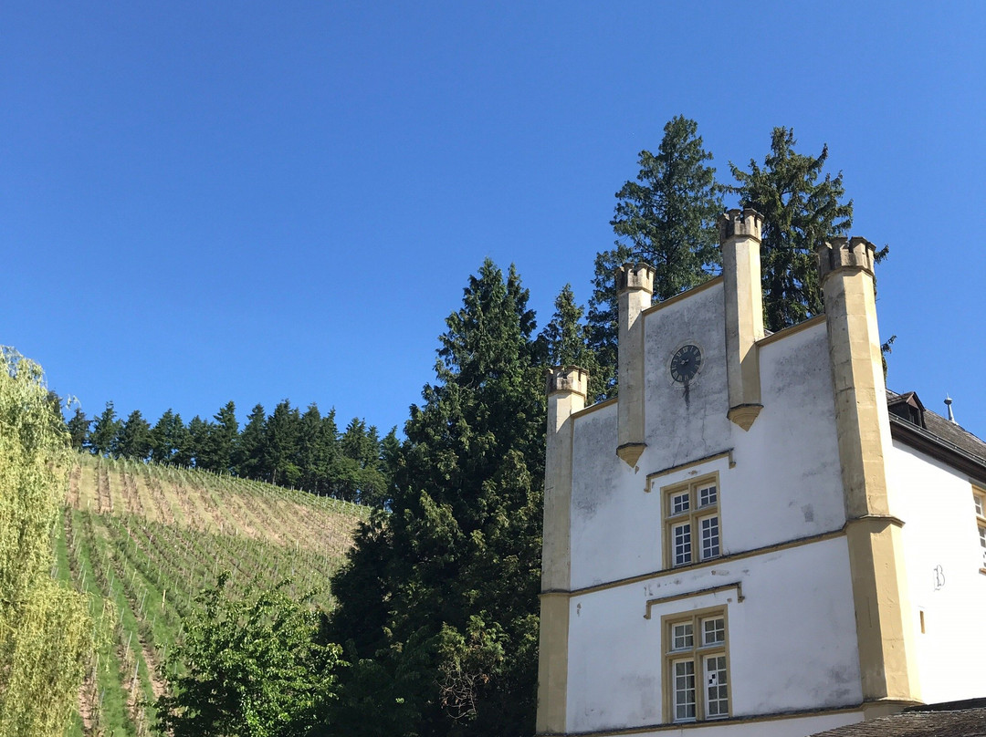 Weingut Karthaeuserhof主图