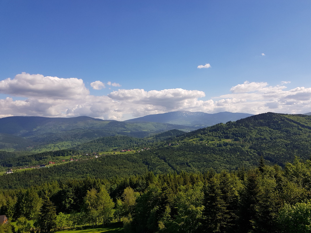 Beskidzki Raj Hotel主图